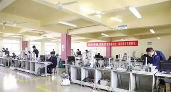 晉城畢業(yè)生新去向 國(guó)家公辦優(yōu)質(zhì)分配，電子信息技術(shù)開發(fā)專業(yè)錄滿停招